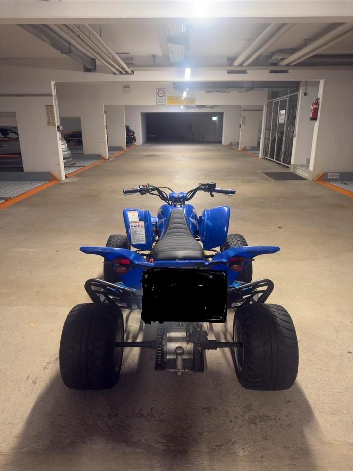 Yamaha Raptor 660 LOF 2004 — rear view