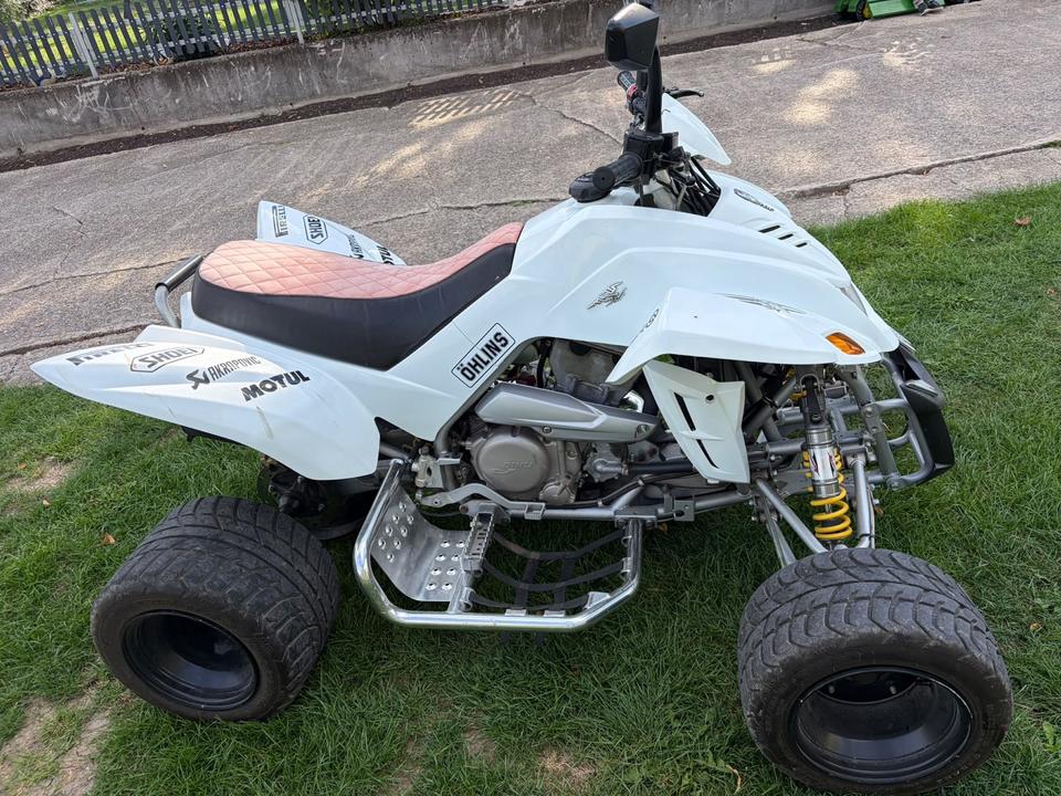 Weitere Motorräder Quad Dinli 450 2009 — rear view