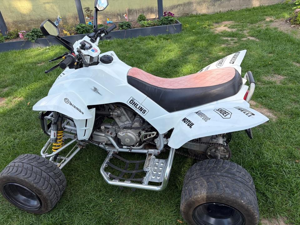 Weitere Motorräder Quad Dinli 450 2009 — interior
