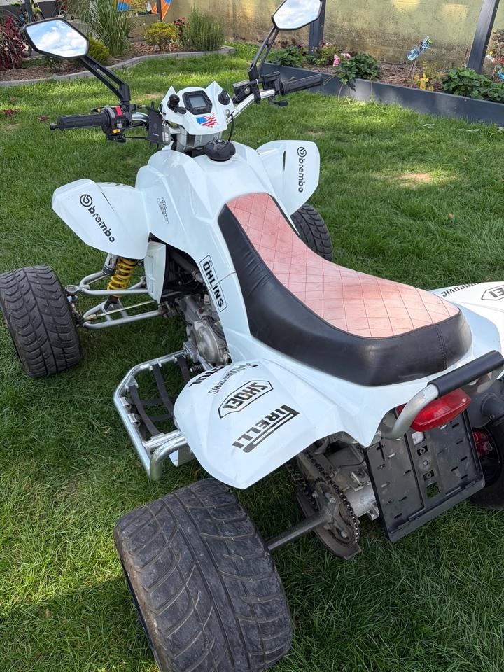 Weitere Motorräder Quad Dinli 450 2009 — engine 450 ccm