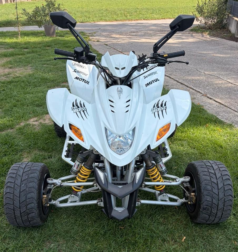 Weitere Motorräder Quad Dinli 450 2009 — photo 5