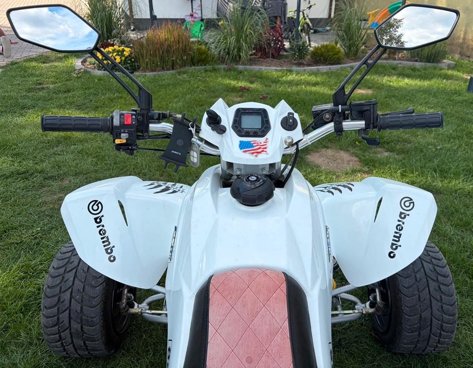 Weitere Motorräder Quad Dinli 450 2009 — photo 6