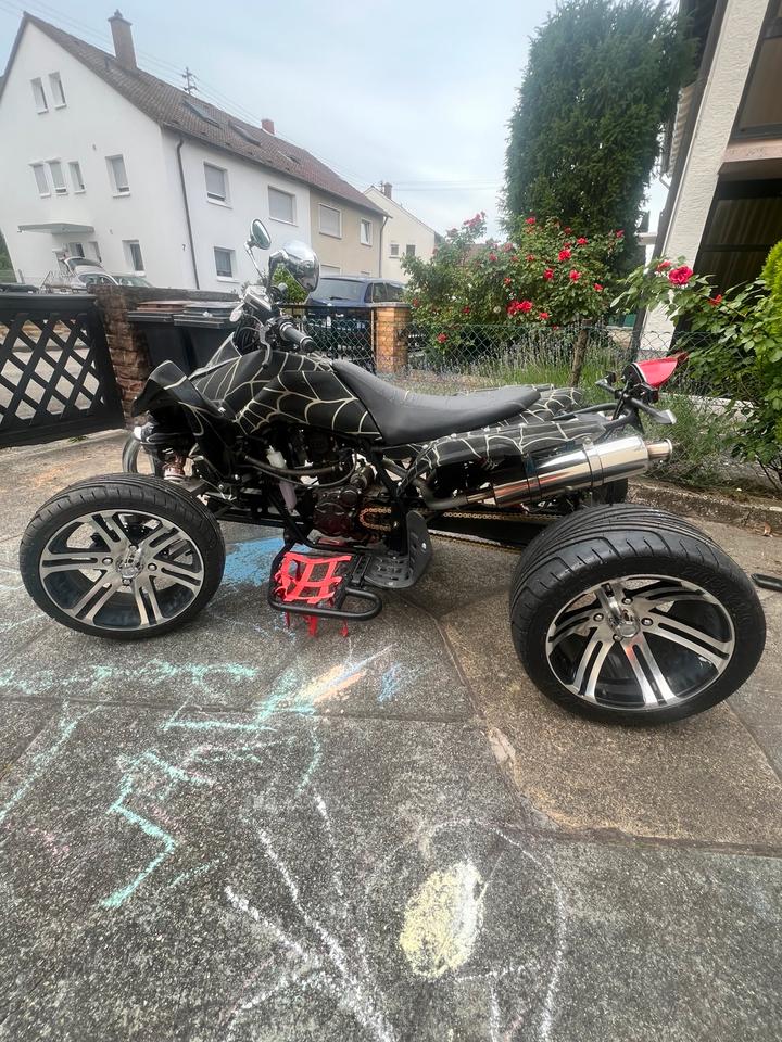  Jingling Quad 250ccm 2010 — rear view