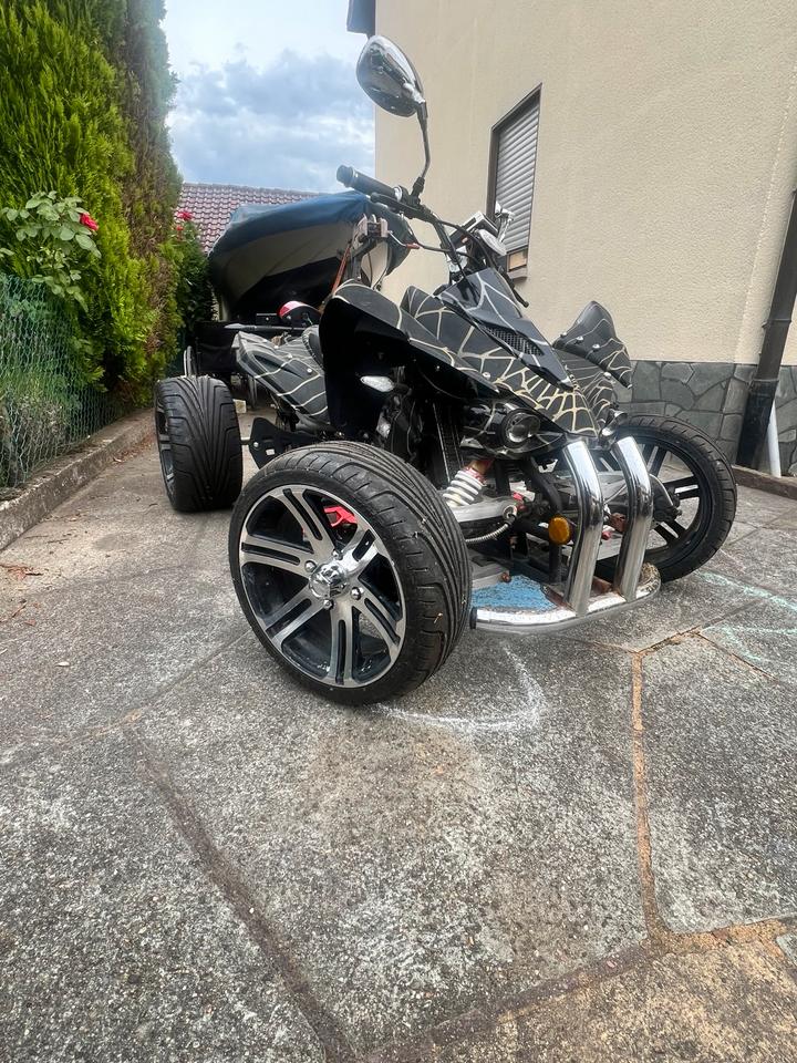  Jingling Quad 250ccm 2010 — interior