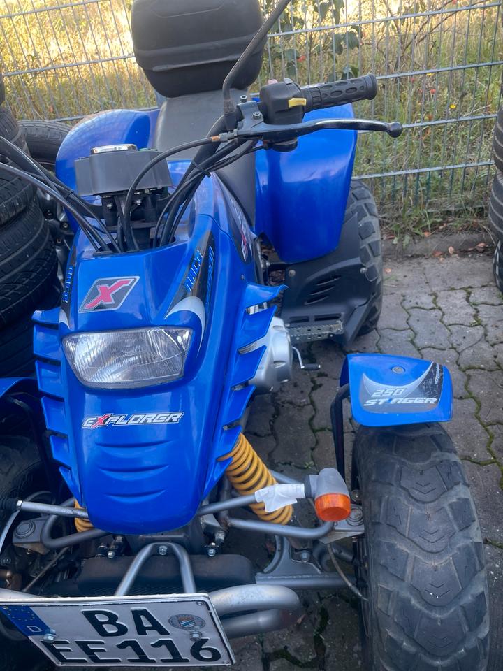Weitere Motorräder Gelöscht • Explorer Stinger 250 Quad 2007 — vehicle for AFU Ukraine