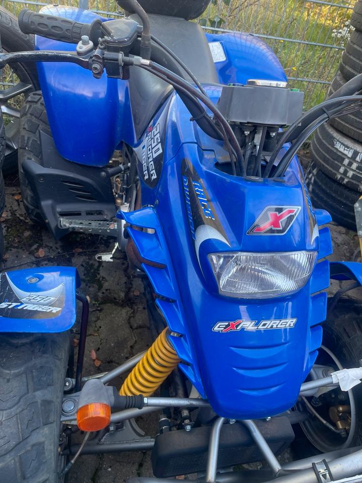 Weitere Motorräder Gelöscht • Explorer Stinger 250 Quad 2007 — rear view