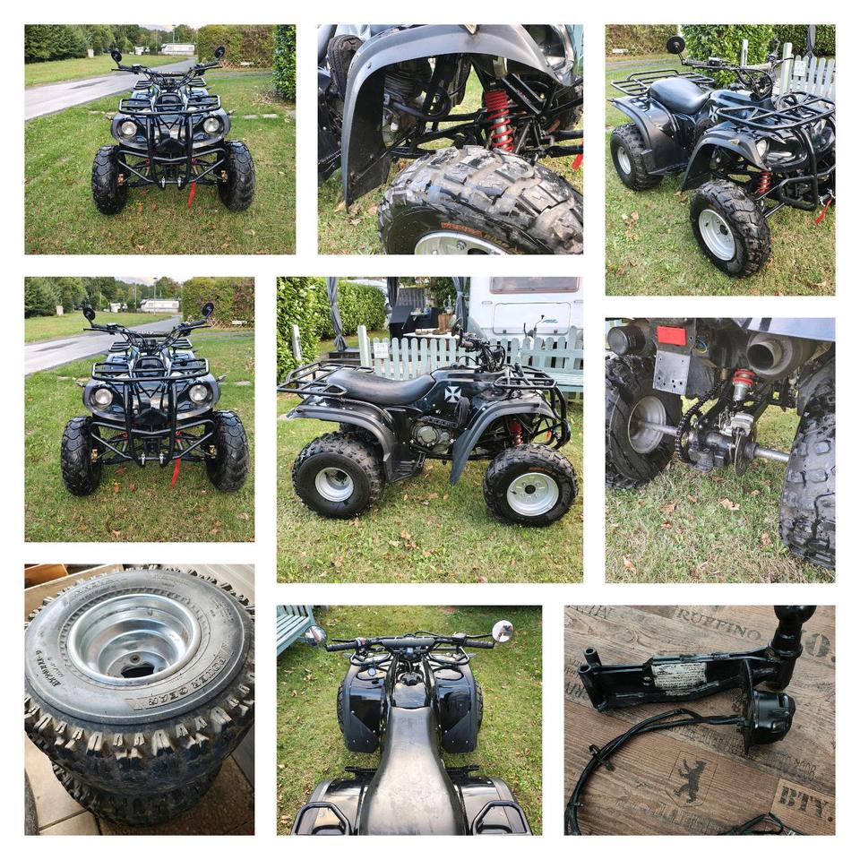 Weitere Motorräder Adly ATV / Quad 300 Utility 2004 — rear view