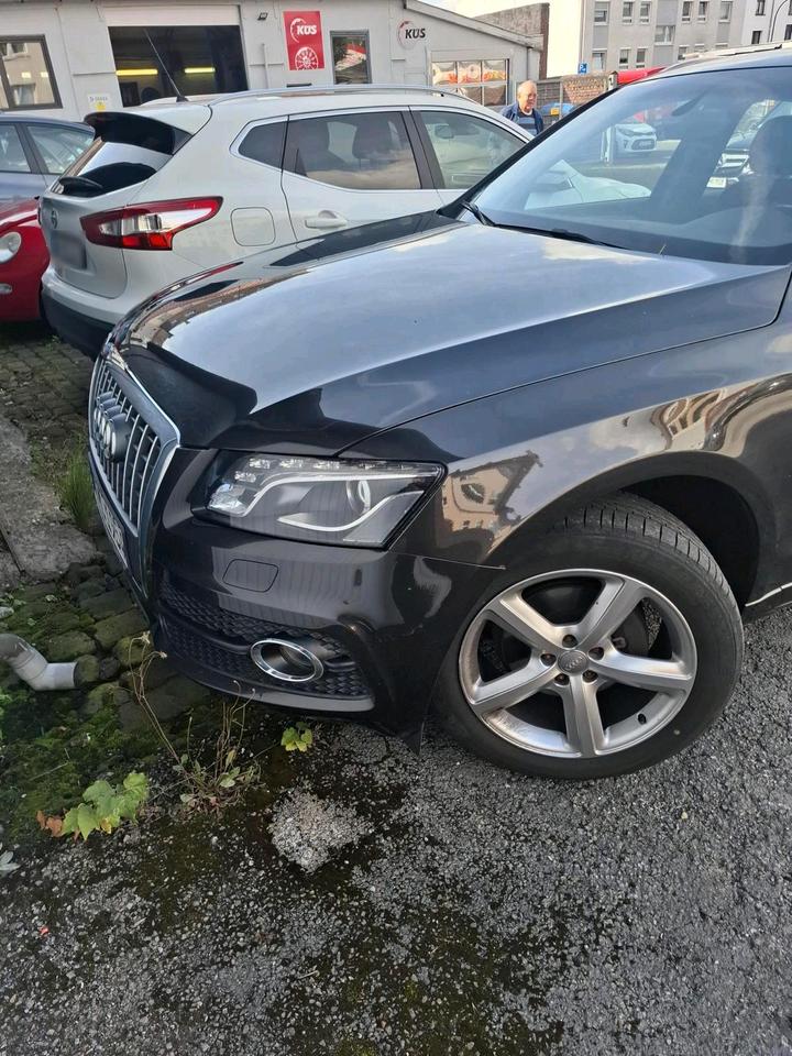 Audi Q5 2009 — вигляд ззаду