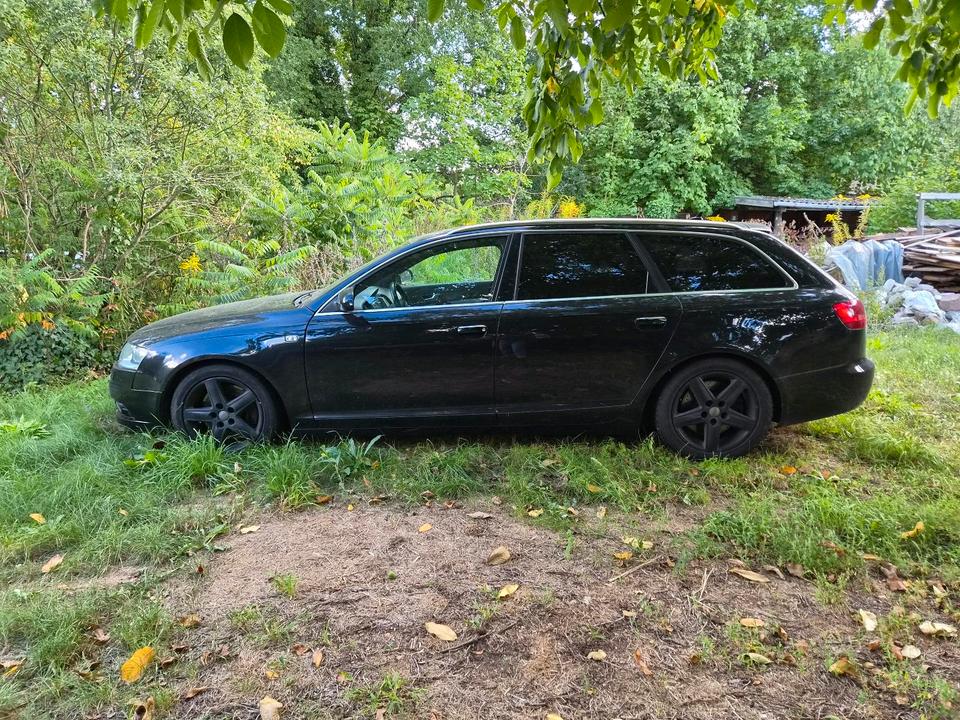Audi A6 2006 — rear view