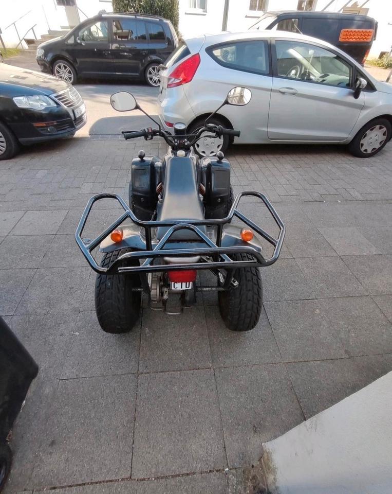 Weitere Motorräder REX Quad 50 2011 — вигляд ззаду