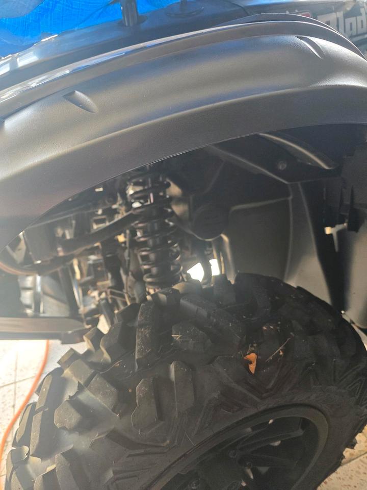 Weitere Motorräder Gelöscht • Blade 550 EFI SE 4x4 IRS 2014 — photo 5