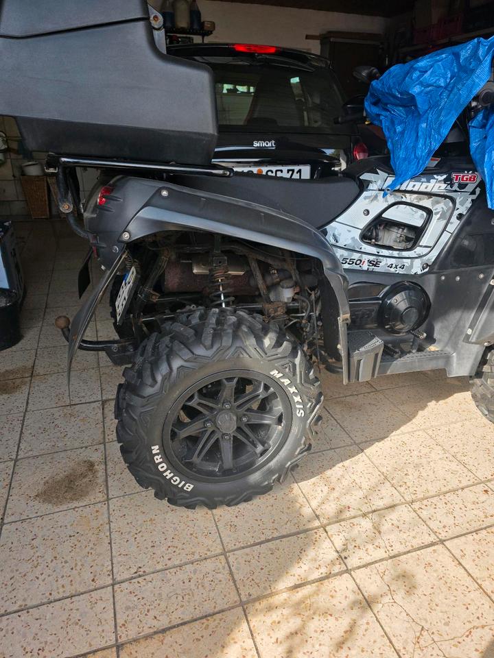 Weitere Motorräder Gelöscht • Blade 550 EFI SE 4x4 IRS 2014 — photo 8