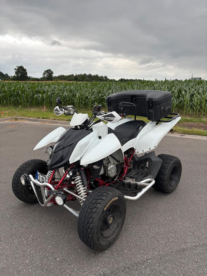  Triton Baja 450 LOF | Baujahr | 16.900 km | Viel Zubehör 2009 — rear view