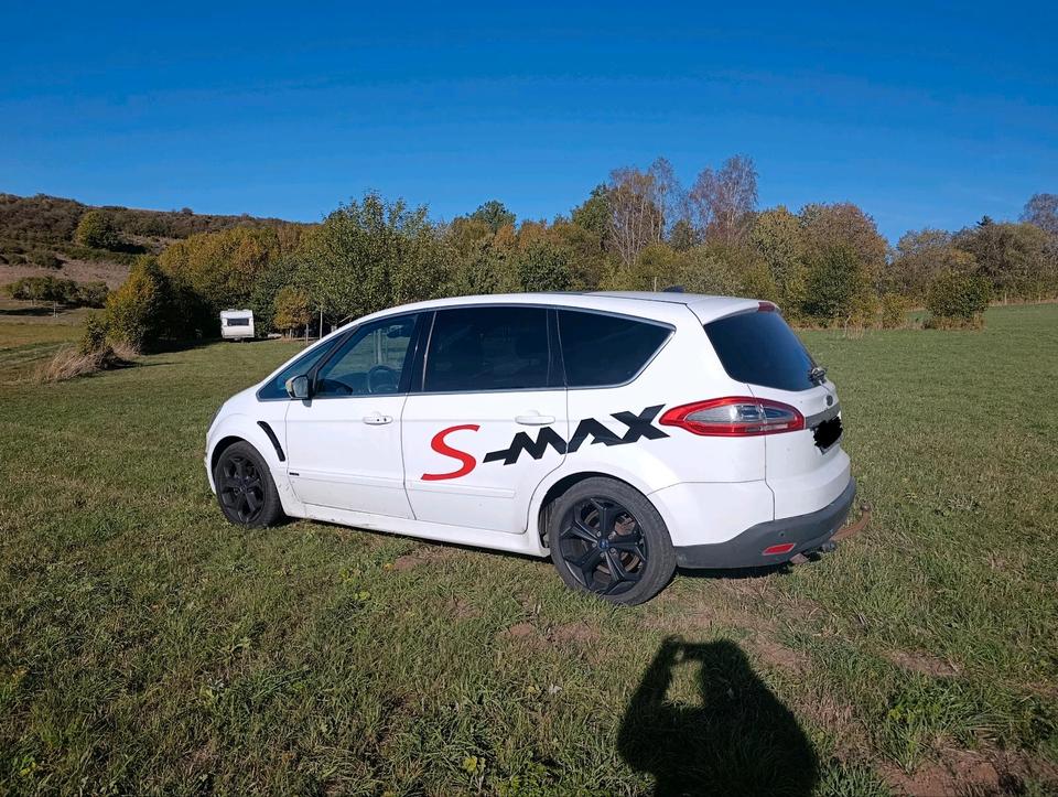 Ford S-Max 2010 — вигляд ззаду