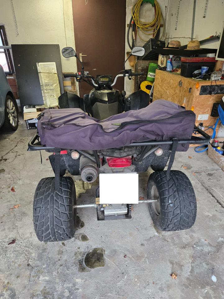 Weitere Motorräder Quad Triton Baja 250 2013 — rear view