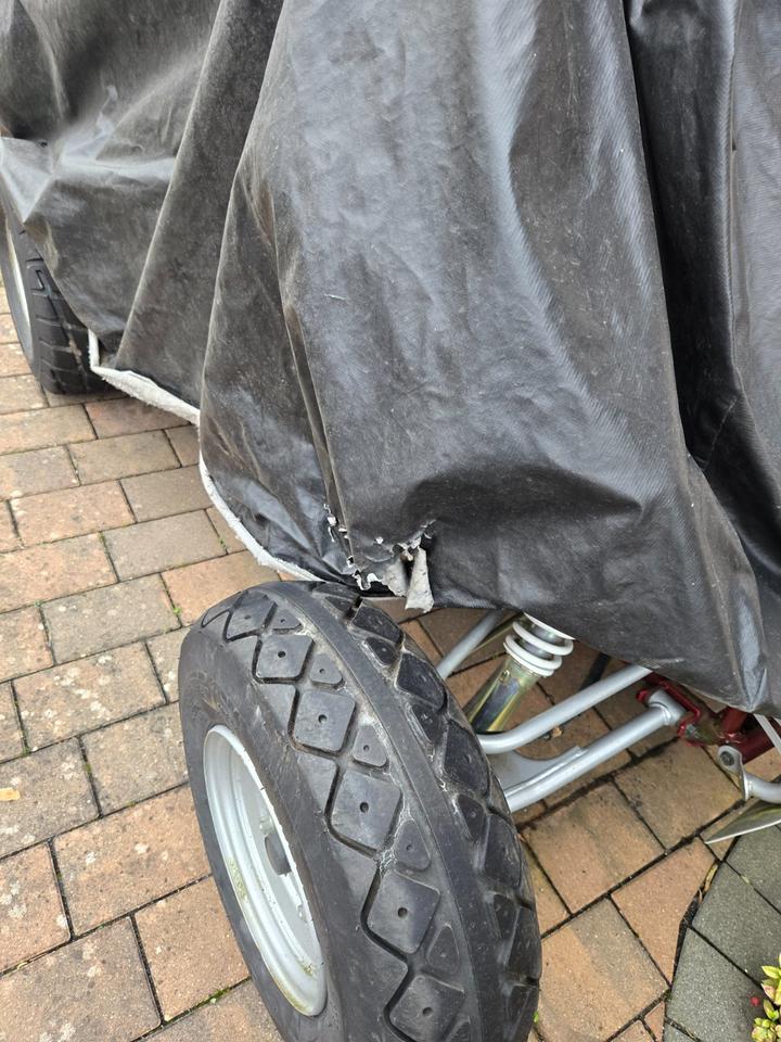 Weitere Motorräder Quad Triton Baja 250 2013 — photo 7