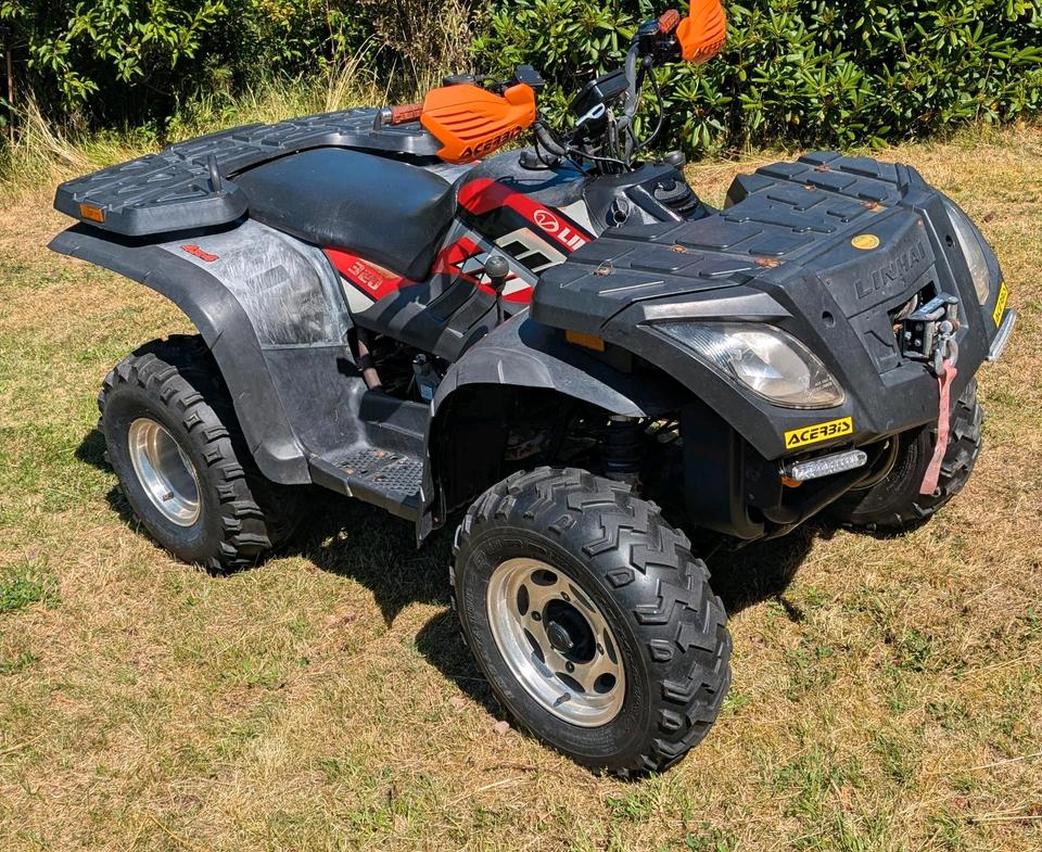  linhai 320 4x4 GREDATOR 2012 — rear view