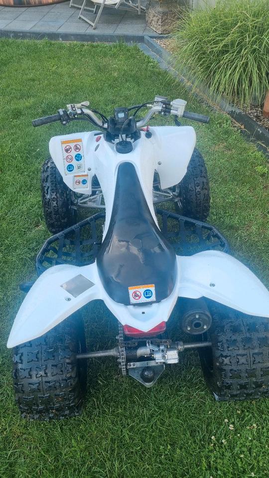 Yamaha Raptor 250r YFM 2011 — rear view