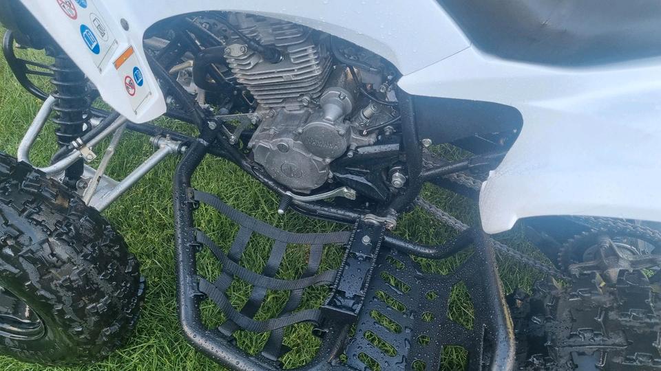 Yamaha Raptor 250r YFM 2011 — photo 7
