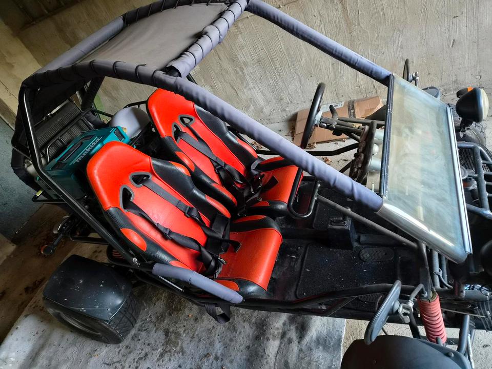 Weitere Motorräder GS Moon 260 buggy 2011 — rear view