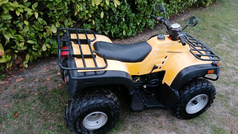  Gelöscht • Quad 4 Takt - NF 150 Bastler 2006 — rear view