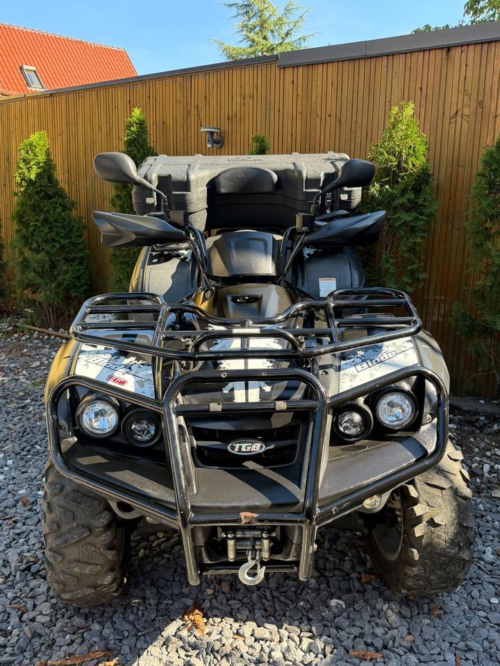Weitere Motorräder Gelöscht • TGB Blade 550LT 4x4 2011 — rear view