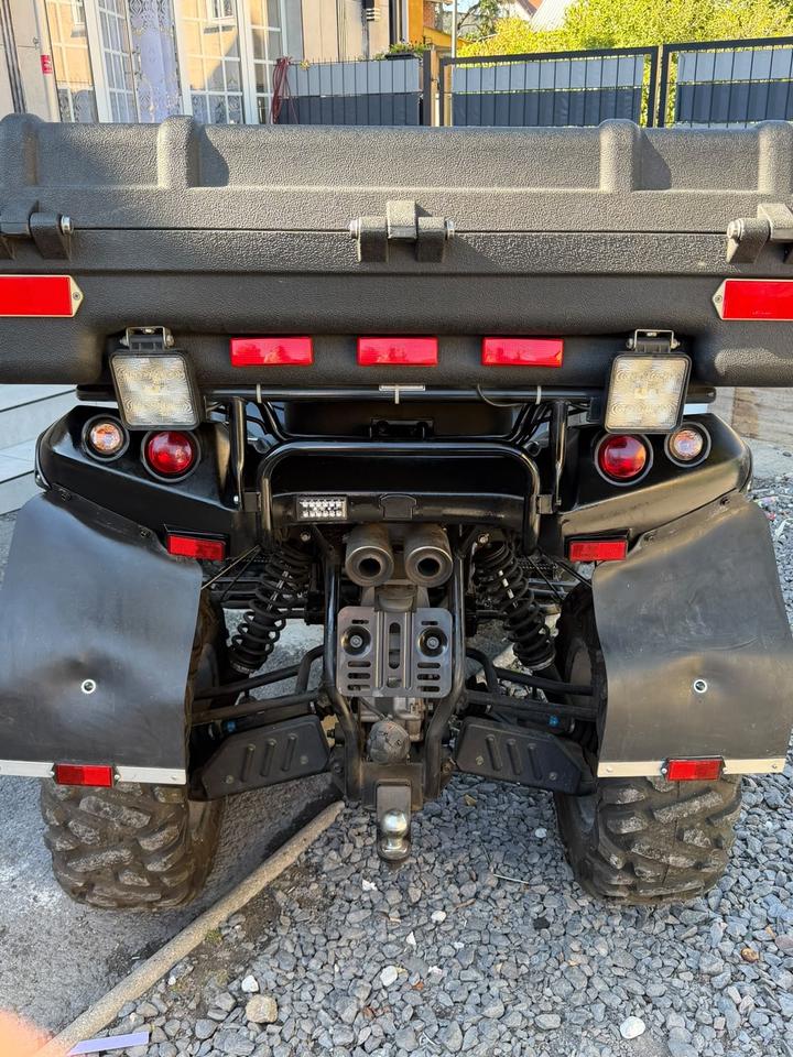 Weitere Motorräder Gelöscht • TGB Blade 550LT 4x4 2011 — engine