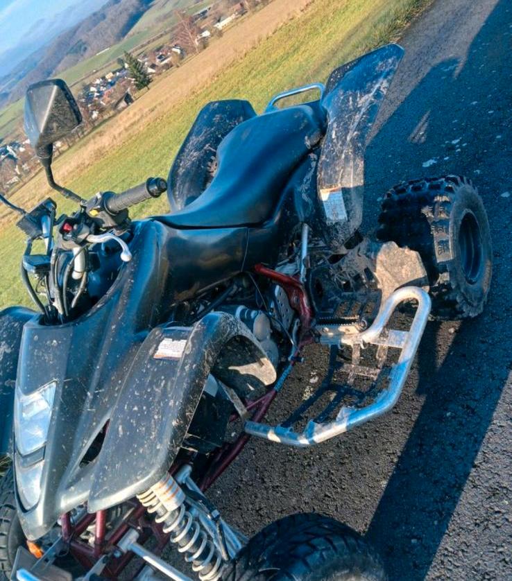 Suzuki ltz 400/Kawasaki kfx 400 2009 — вигляд ззаду
