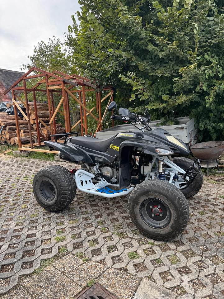 Weitere Motorräder Quad Beeline Bestia 5.5 LOF Tüv 2012 — вигляд ззаду