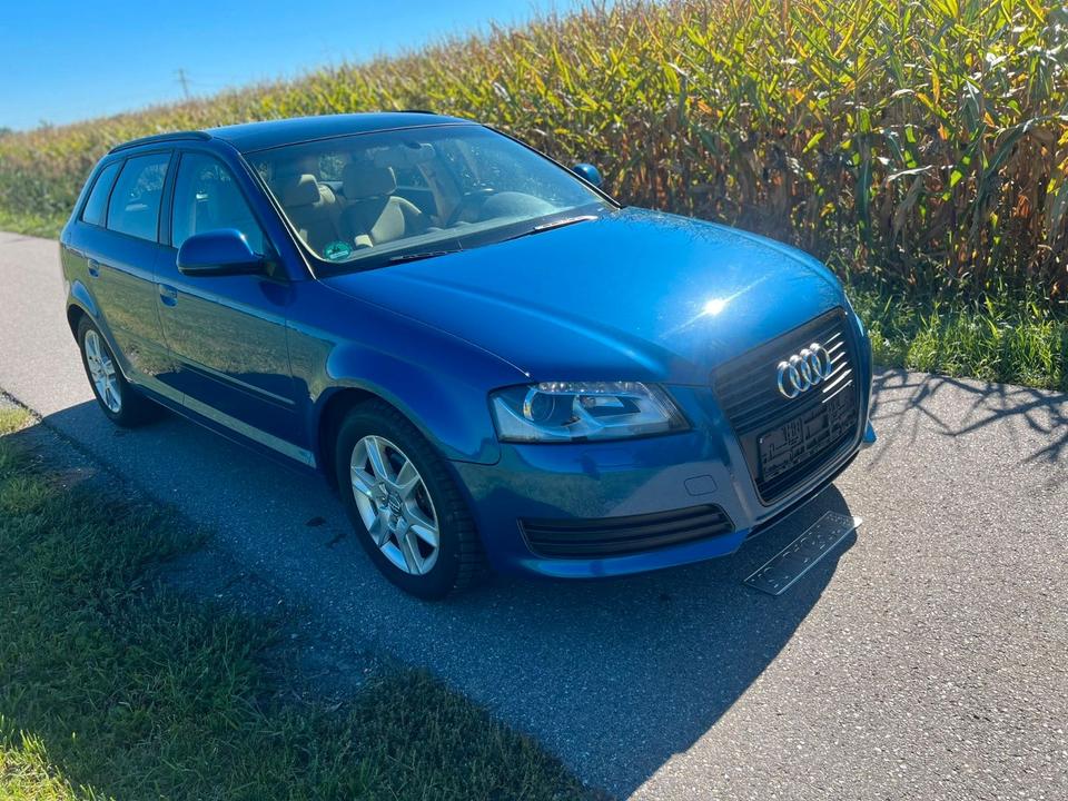 Audi A3 2009 — вигляд ззаду