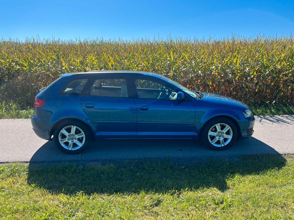 Audi A3 2009 — фото 8