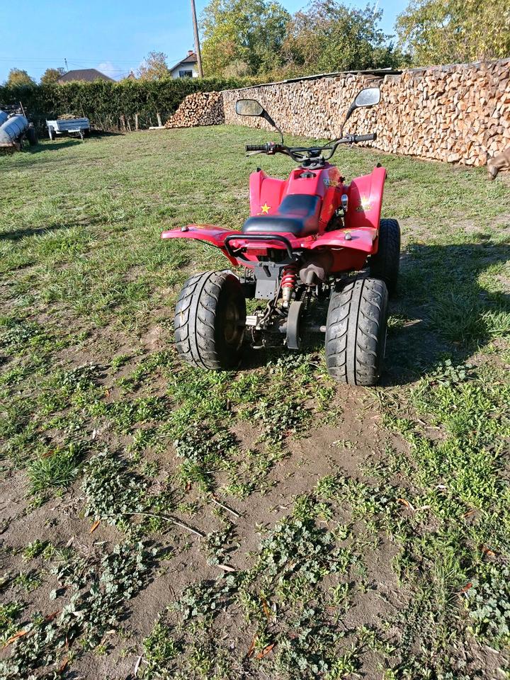  ATV Herkules Adly 150 2005 — photo 5