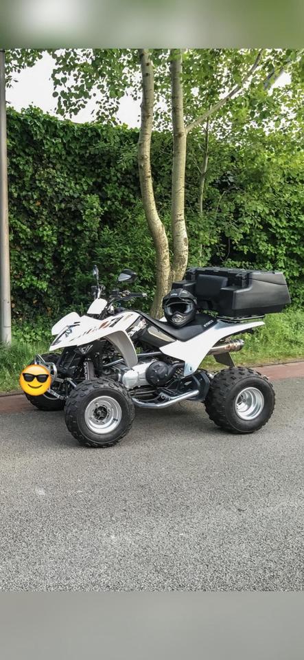 Kymco Quad Kymko Maxxer 300 2009 — rear view