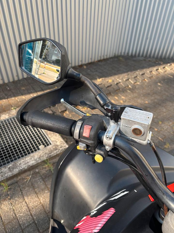 Weitere Motorräder TGB 550CCM QUAD LOF TÜV AUTOMATIK 2011 — photo 8