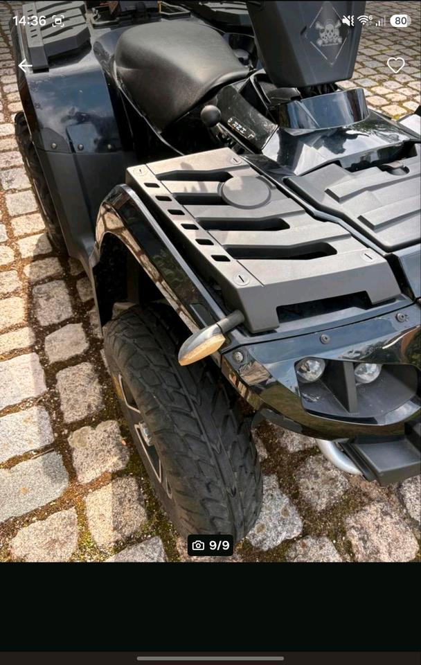 Weitere Motorräder Gelöscht • Quad 4x4, seilwinde , 400 ccm 2011 — вигляд ззаду