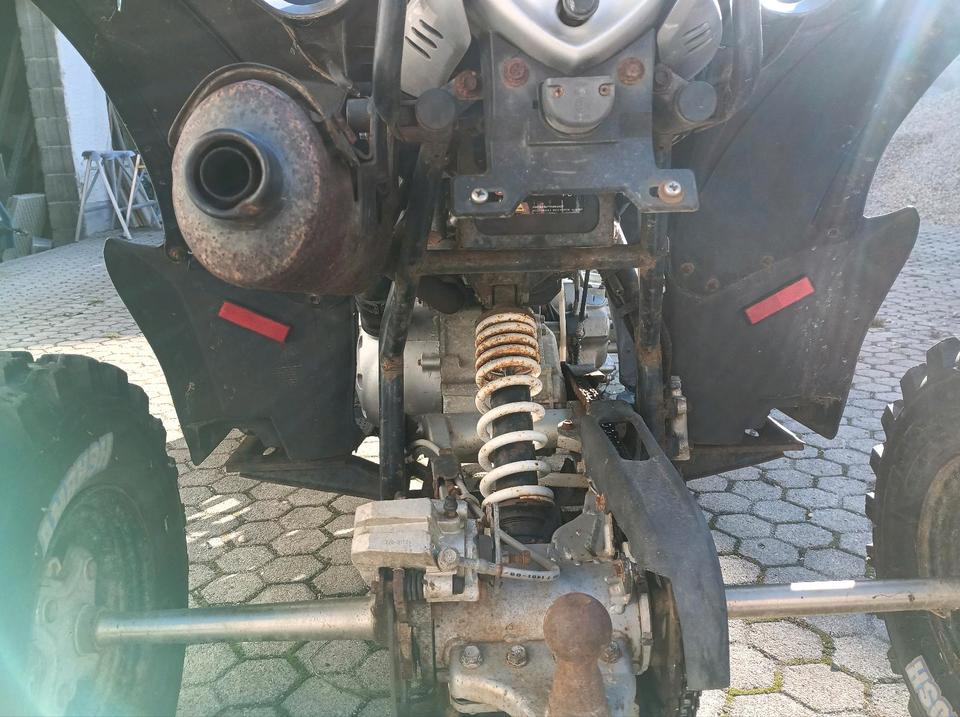  Quad Aeon 400 07/13 Lofzulassung mit Spurverbreiterung 2013 — photo 11