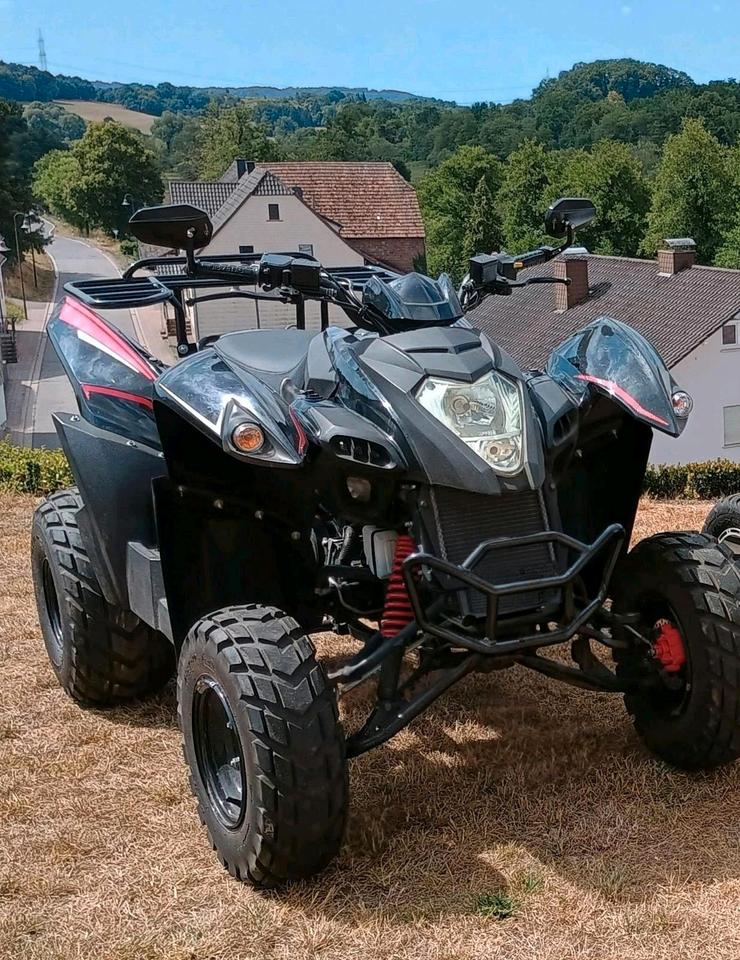 Weitere Motorräder Quad Her Che, Online 320 2015 — rear view