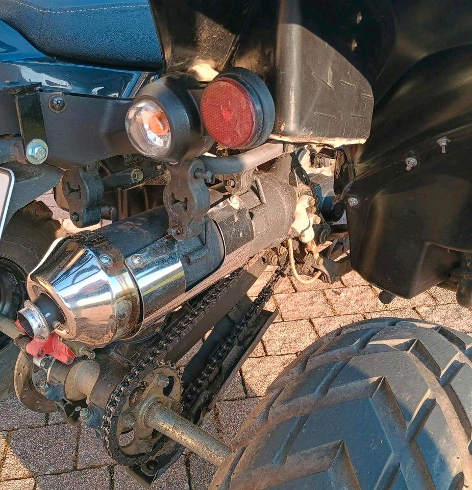 Weitere Motorräder Quad Her Che, Online 320 2015 — photo 6