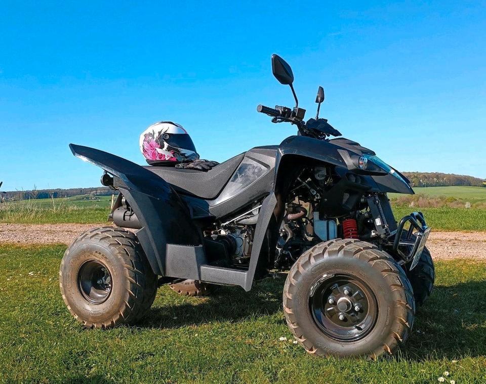 Weitere Motorräder Quad Her Che, Online 320 2015 — photo 7