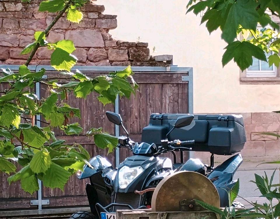 Weitere Motorräder Quad Her Che, Online 320 2015 — photo 8