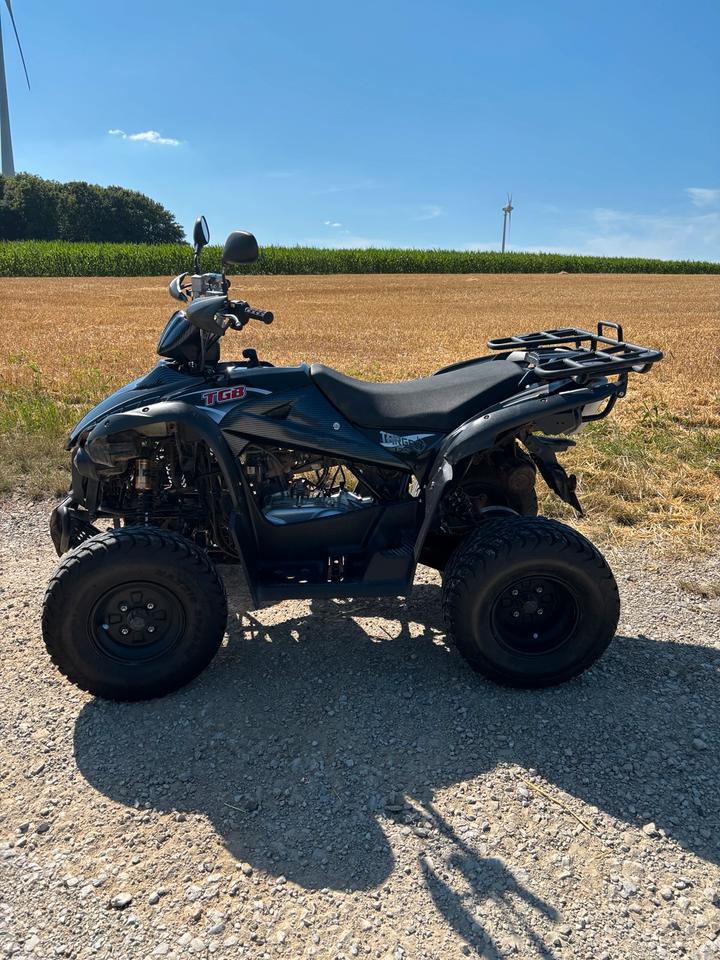 Weitere Motorräder Quad TGB Target 325 mit Satz Geländereifen Bastler 2012 — rear view