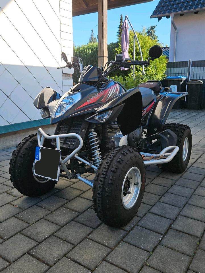 Kymco Quad Kymco Maxxer 250 TÜV neu 2008 — rear view