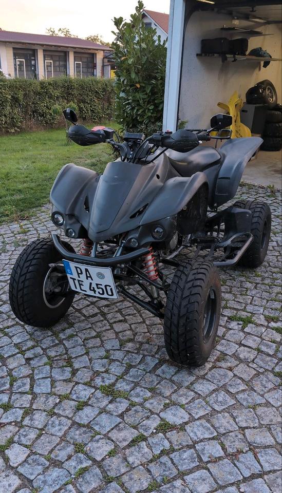 Suzuki ltz400 2006 — rear view