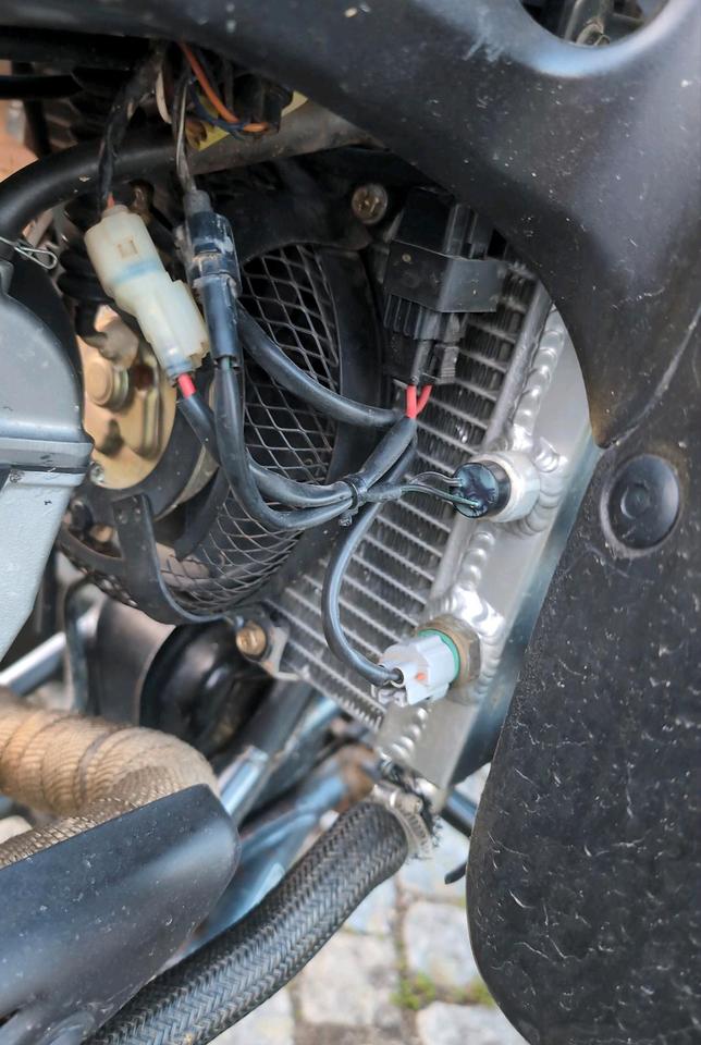 Suzuki ltz400 2006 — photo 7
