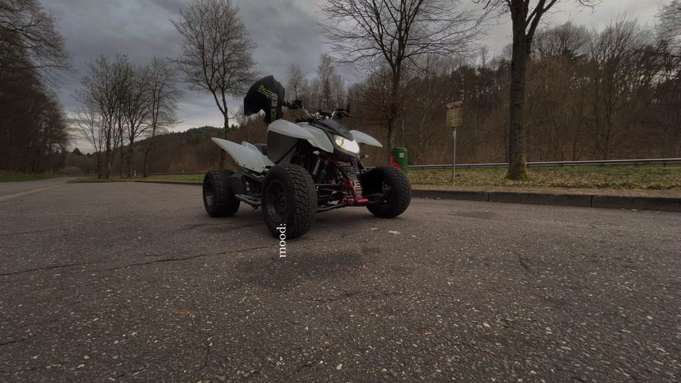 Weitere Motorräder Triton 450 2011 — rear view
