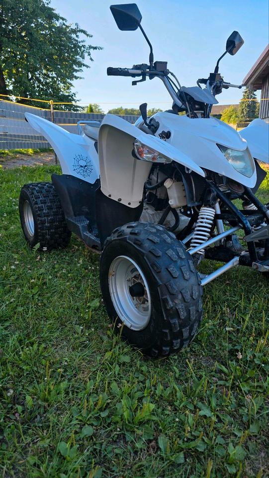 Weitere Motorräder Quad Aeon Cobra, 2008