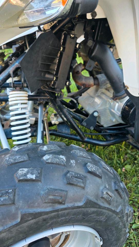 Weitere Motorräder Quad Aeon Cobra 2008 — photo 10