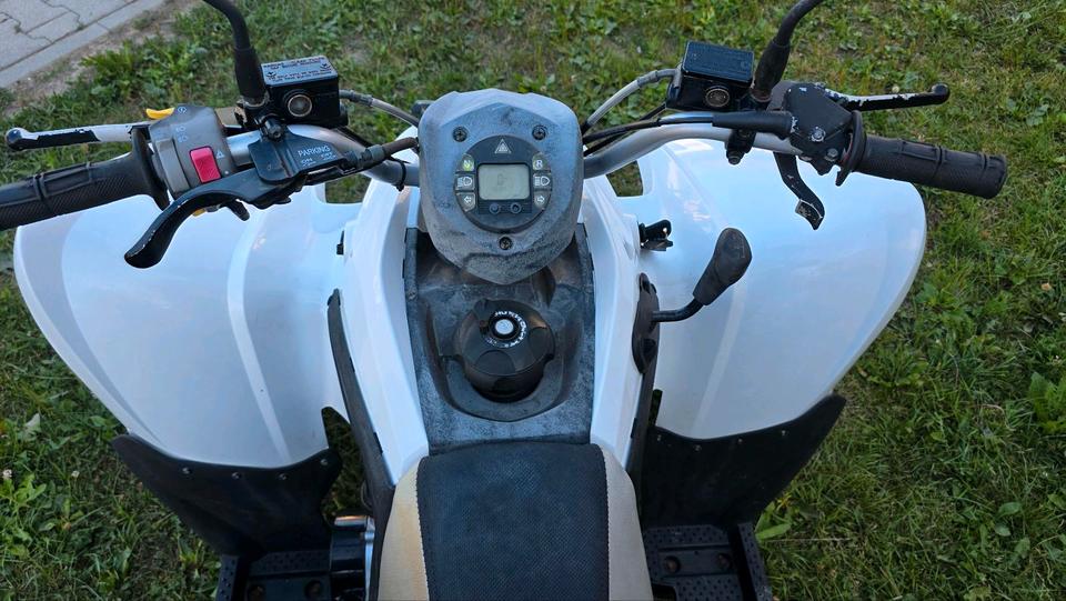 Weitere Motorräder Quad Aeon Cobra 2008 — rear view
