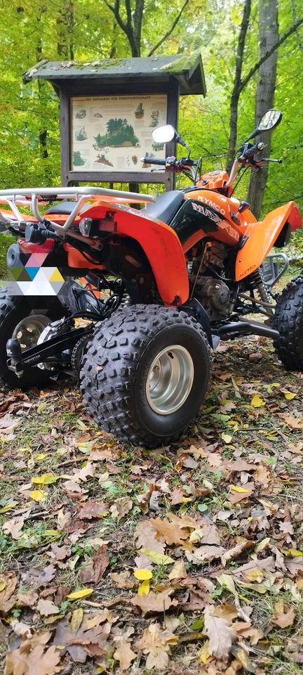 Kymco Maxxer 300 wie neu 2015 — photo 5