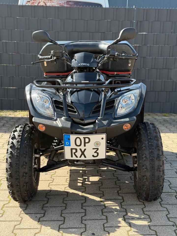 Kymco Gelöscht • Kymco MXU 300 Quad 2000 KM gelaufen 2010 — rear view